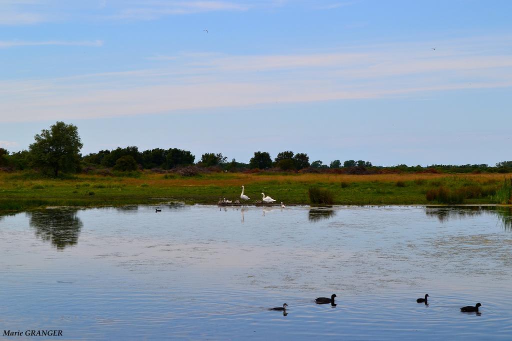 Gite Les Vents Du Large L'Aigrette Le Crotoy Zewnętrze zdjęcie